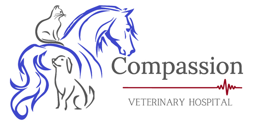 Compassion Veterinary Hospital Image 1